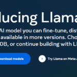 Llama AI Models for Government Use